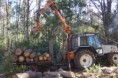OPERADOR GRUA FORESTAL